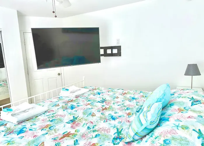 Seashell 3 - Seasonal Rental